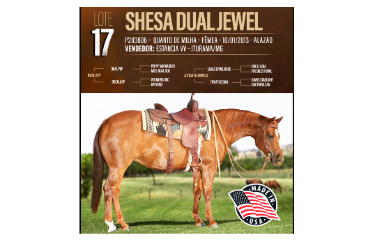 SHESA DUAL JEWEL